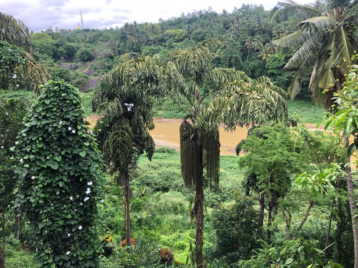 Kandy Rivers Edge Nature Resort Exterior photo