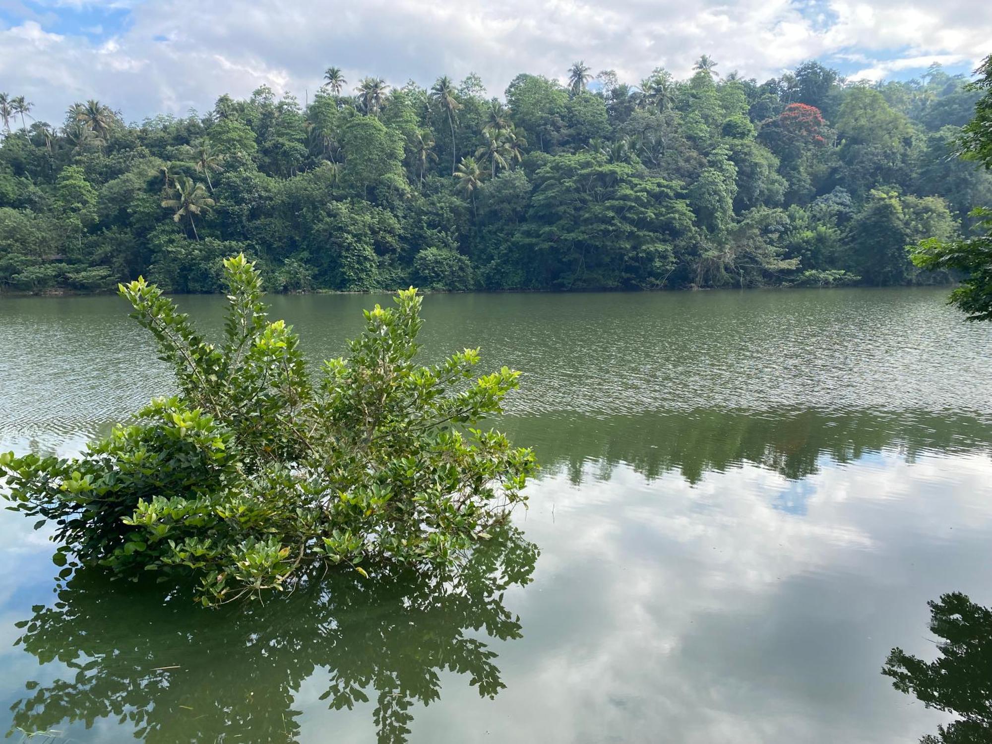 Kandy Rivers Edge Nature Resort Exterior photo